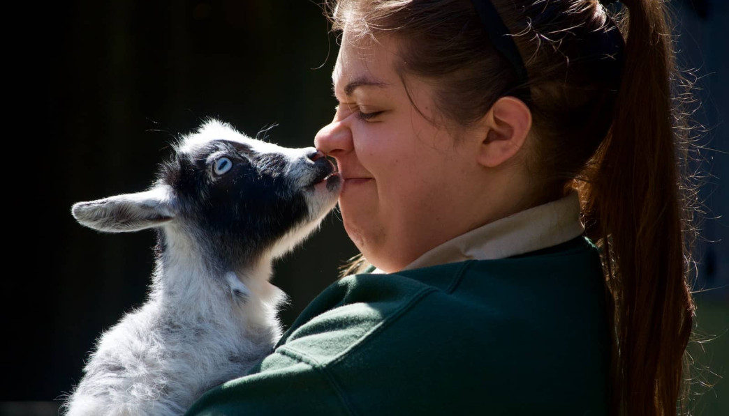 dierentherapie (animal assisted therapy, aat)