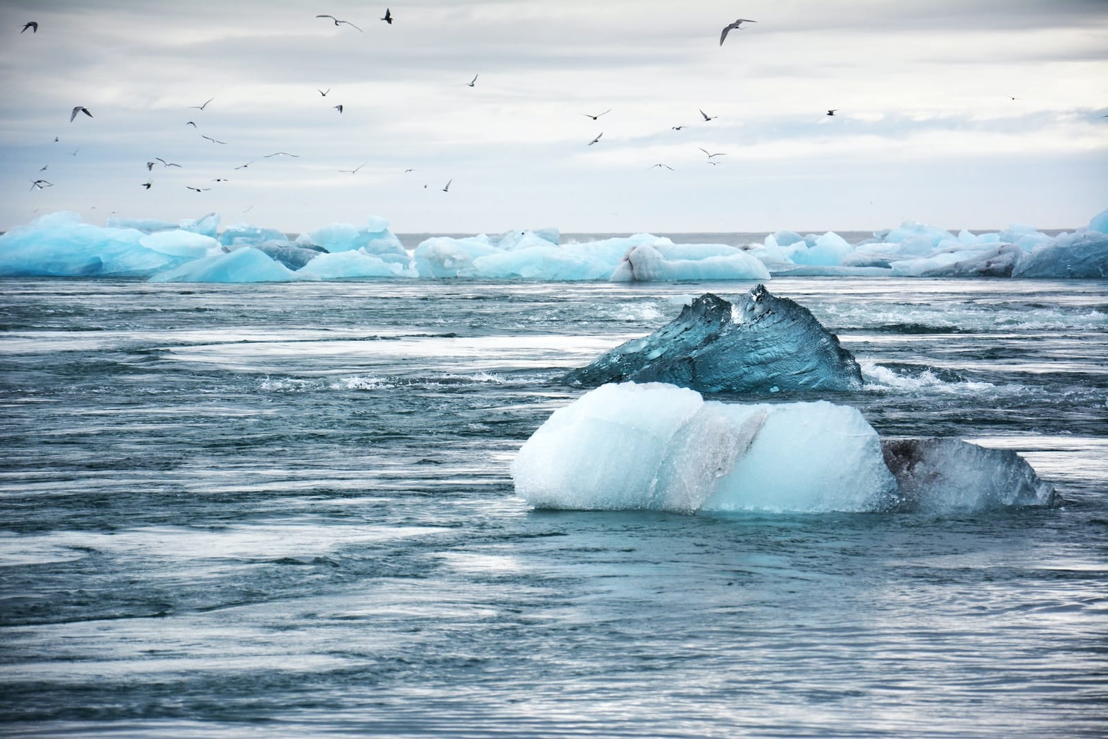 de relatie tussen klimaatverandering en psychische problemen