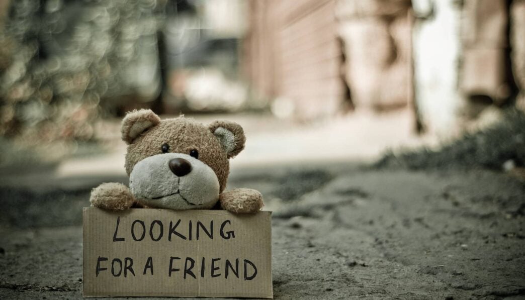 Looking for a Friend Bear