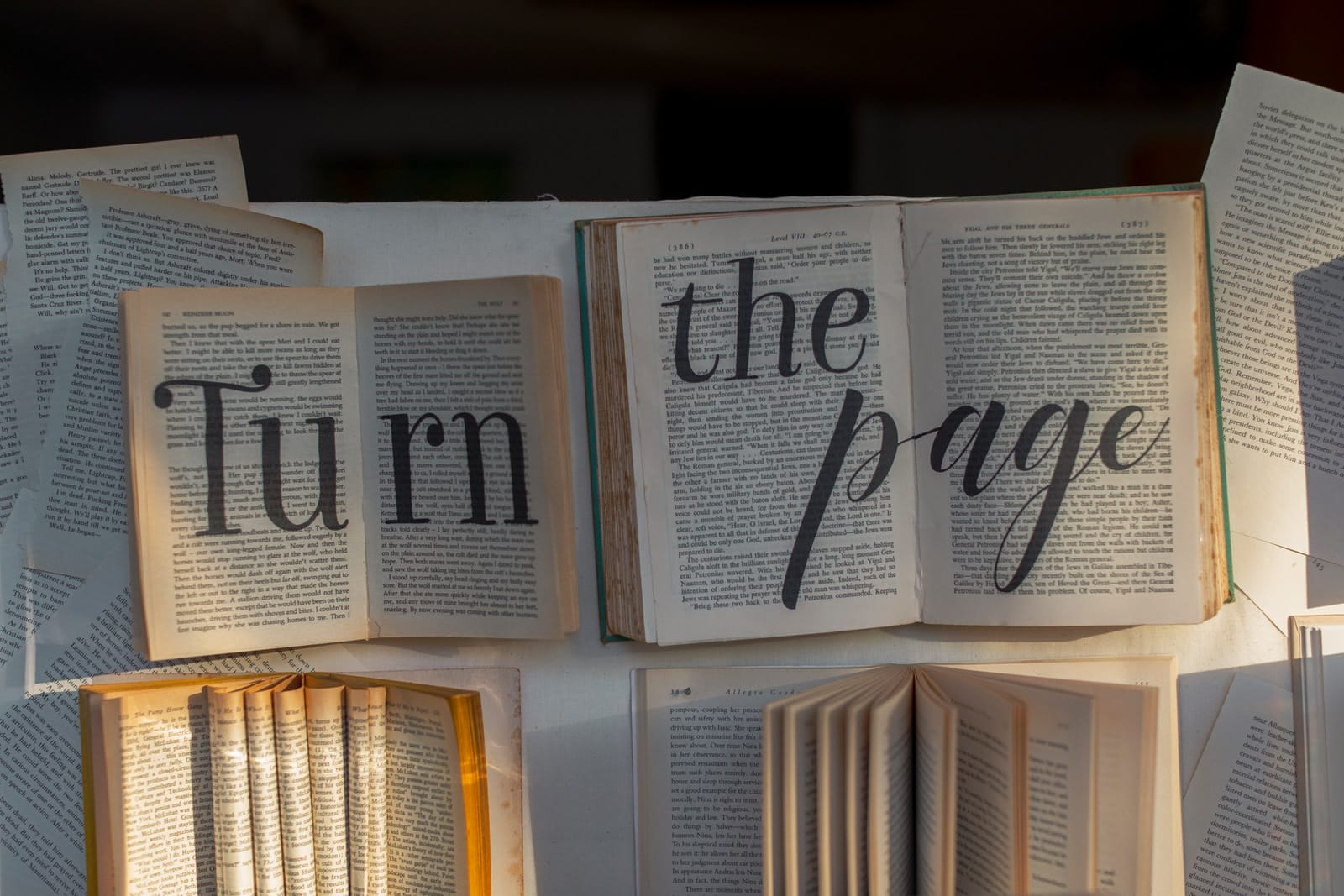 Welke boeken moet je lezen bij psychische problemen?