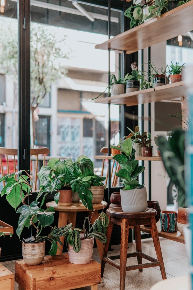 groene planten