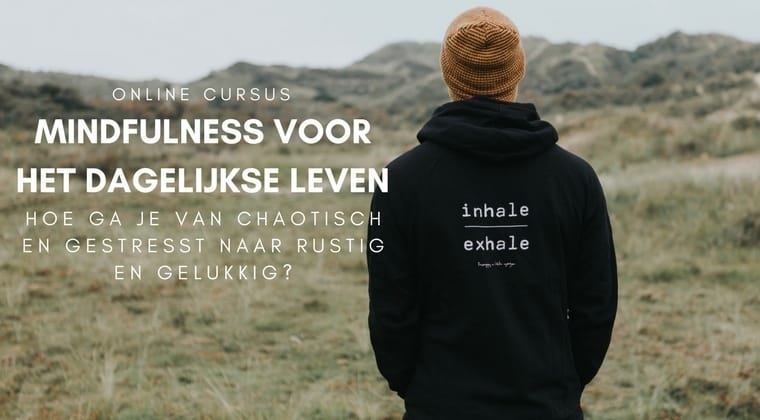 De betekenis van dromen