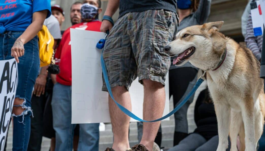 Recognizing the Signs and Impact of Verbal Abuse