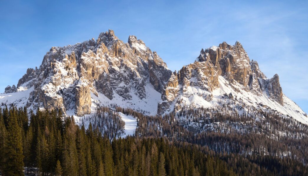 When Does Brain Sharpness Peak Across Different Ages?