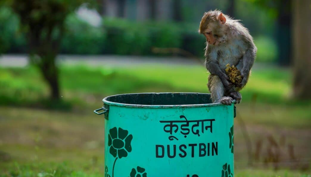 The Impact of Extroversion on Personality and Behavior