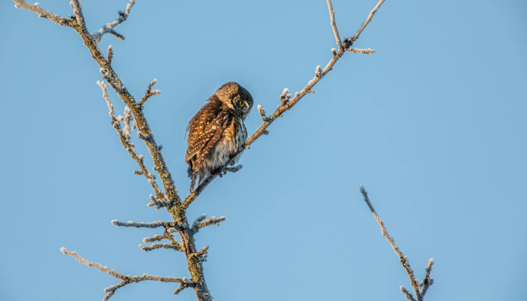 Seven Essential Types of Rest and How to Achieve Each One