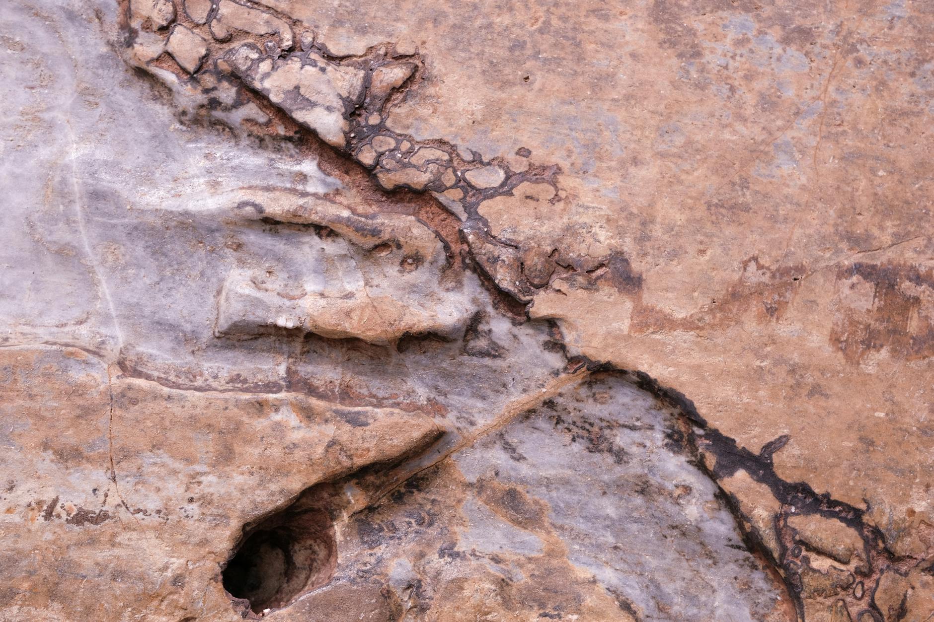 Detritus in Geology: Understanding Rock Particles from Weathering and Erosion