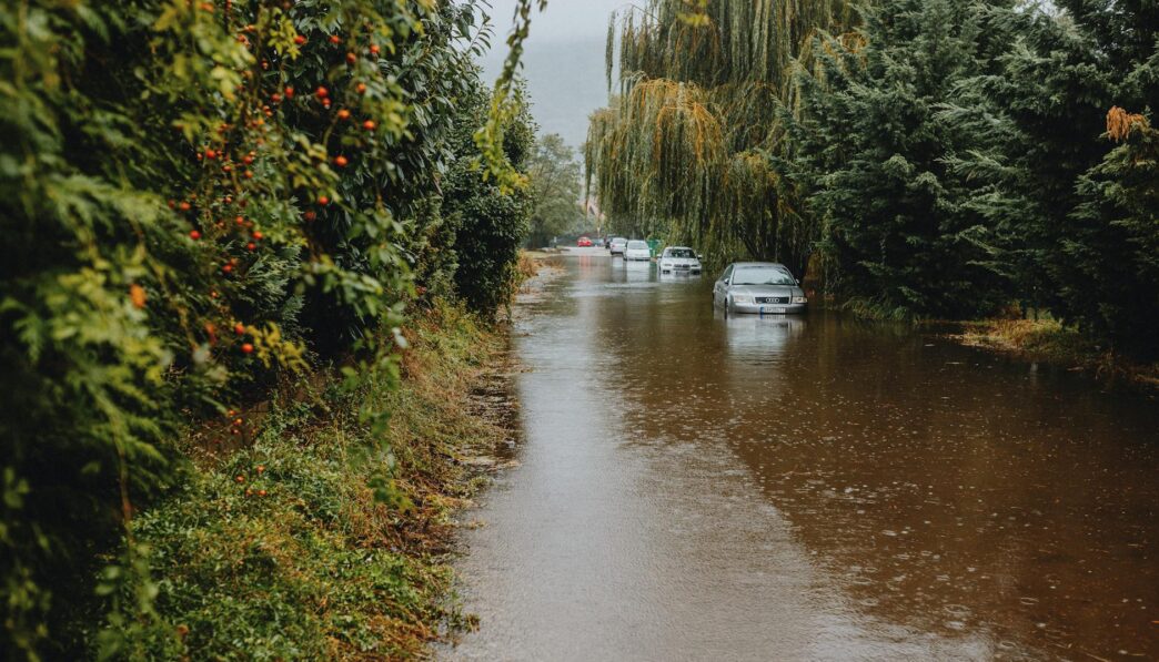 Understanding Environmental Degradation and Its Impact on Nature