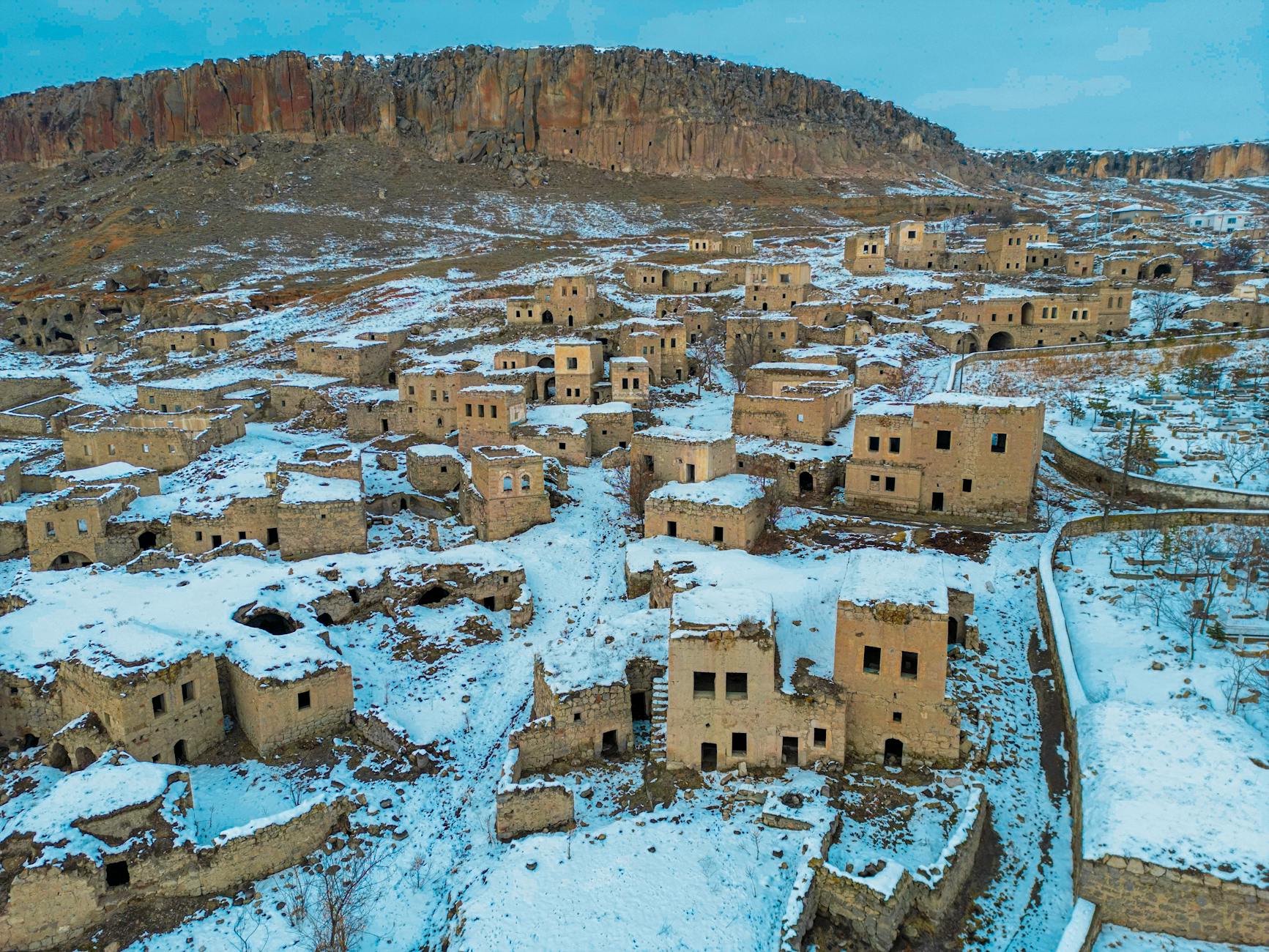 Understanding Fossils: Preserved Remains from Past Geological Ages