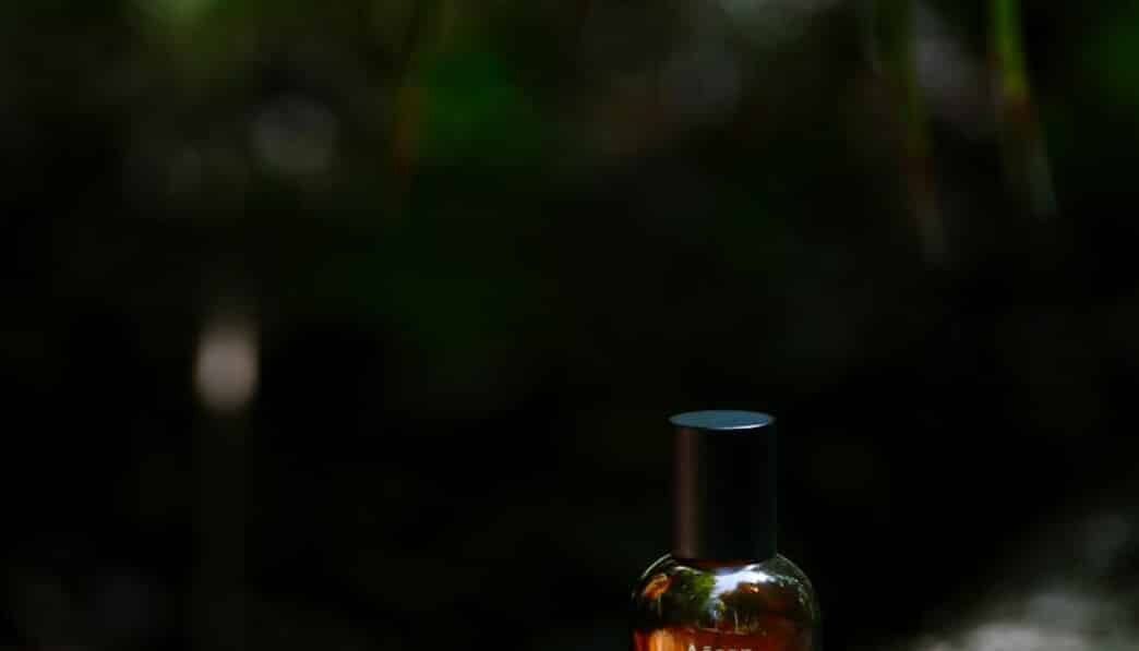 Aesop’s Fables: Timeless Morality Tales from Ancient Greece