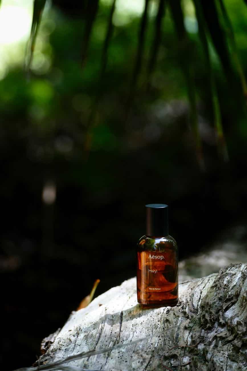 Aesop’s Fables: Timeless Morality Tales from Ancient Greece