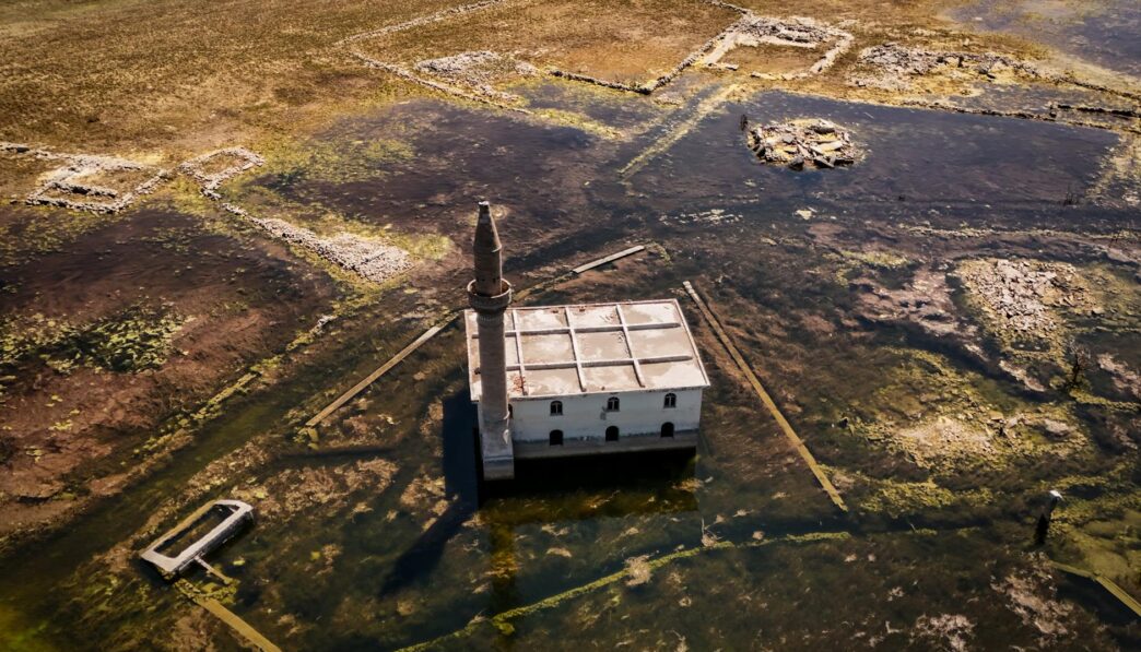 History of Agriculture: Key Developments and Global Impact