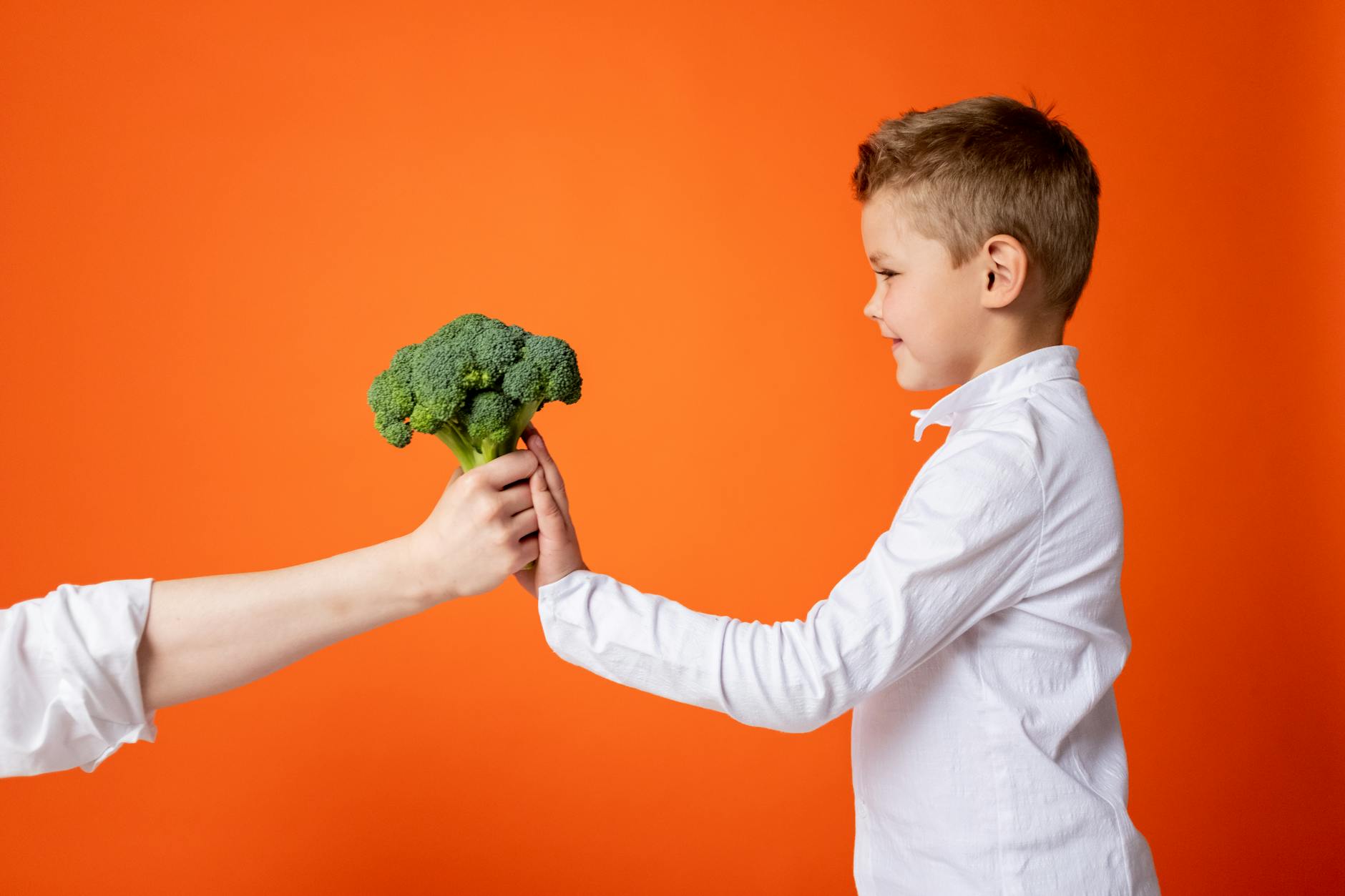 ADHD Diet for Kids: Recommended Foods and What to Avoid
