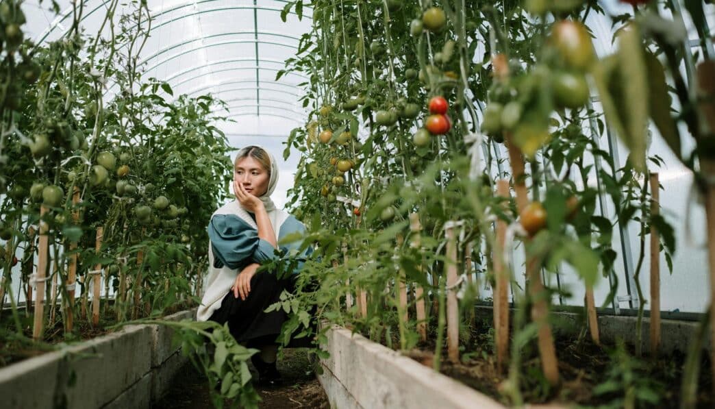 Understanding Agriculture: Cultivation of Plants and Animals for Food