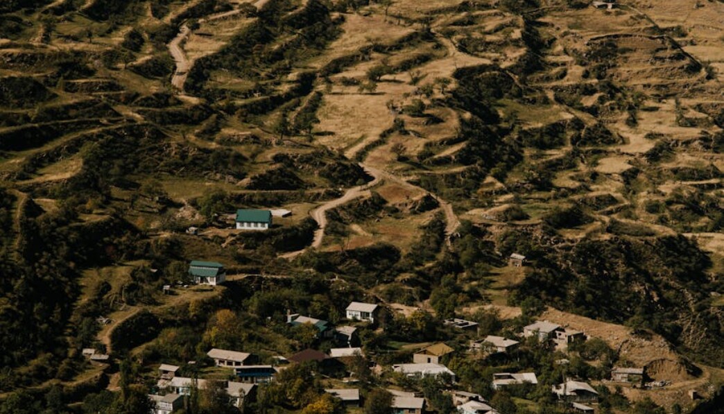A Comprehensive Overview of Earth’s Geological and Biological History