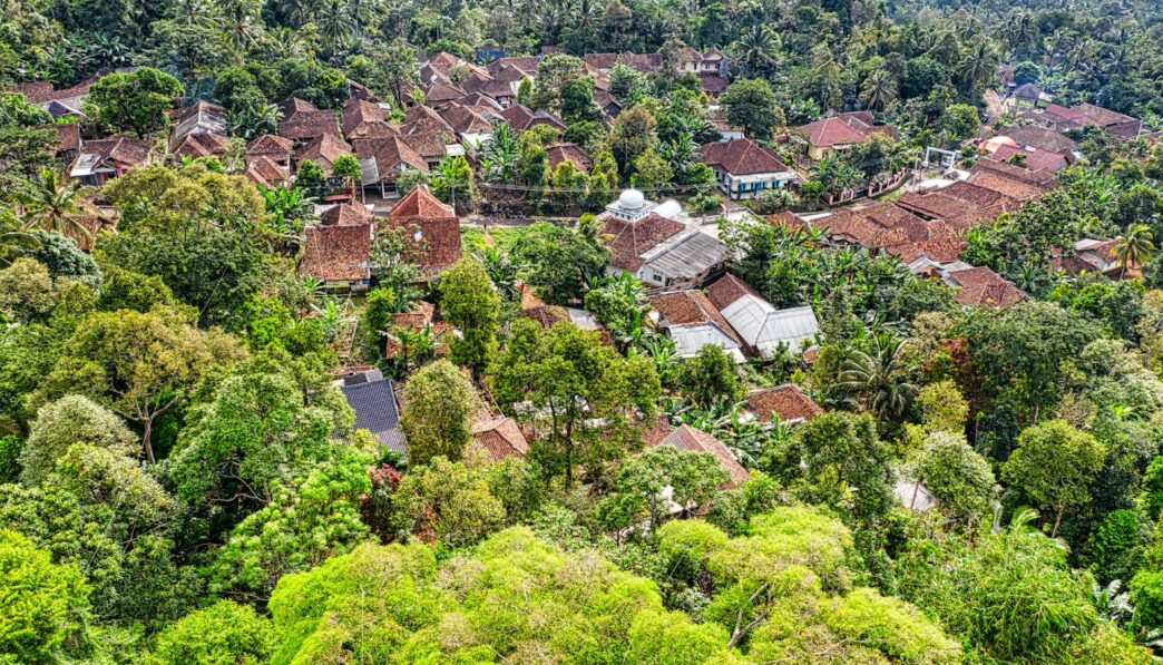 Colonization: The Establishment and Growth of Settlements