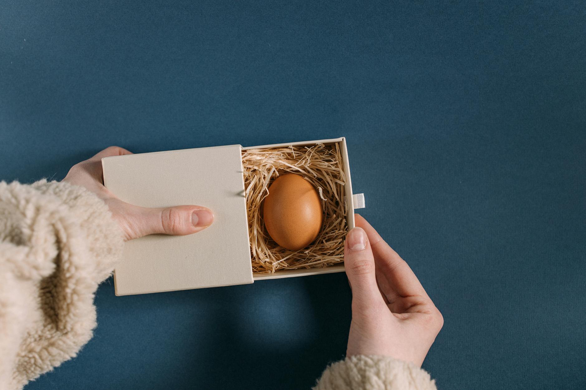 Timelines of Modern History from 1400 to Present