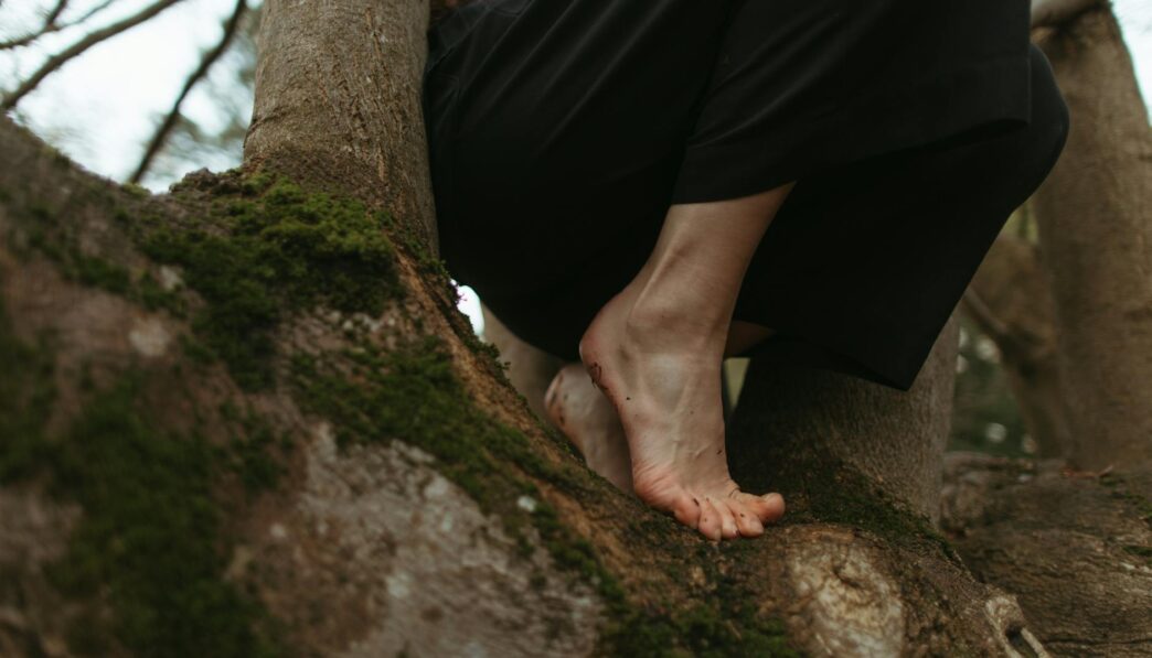 Learned Optimism: Enhancing Your Life and Well-Being