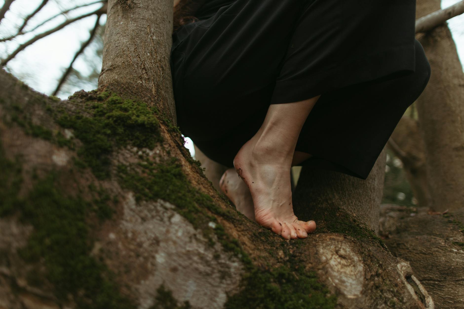 Learned Optimism: Enhancing Your Life and Well-Being