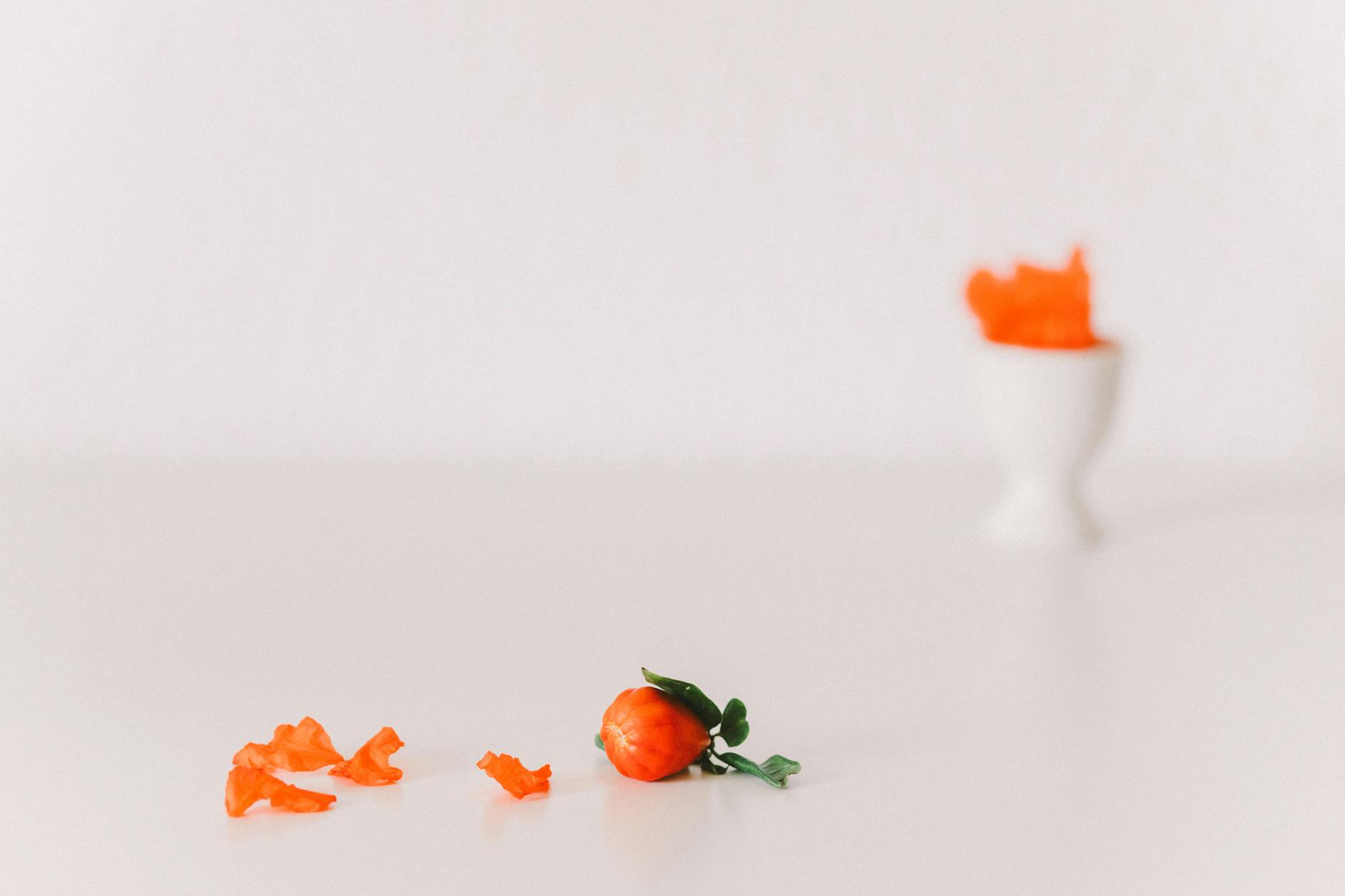 The Modern Era: Understanding the Current Period of Human History