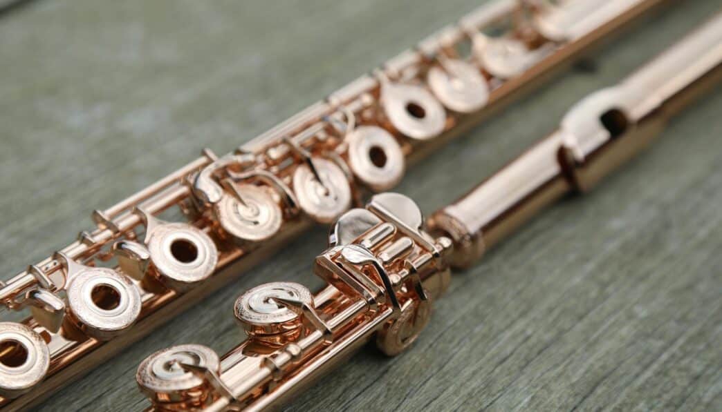 Paleolithic Bone Flutes: Earliest Musical Instruments from Europe