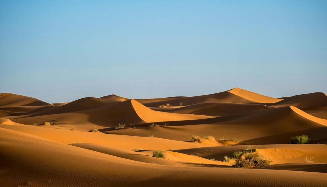Sahara Desert: The Largest Hot Desert in North Africa