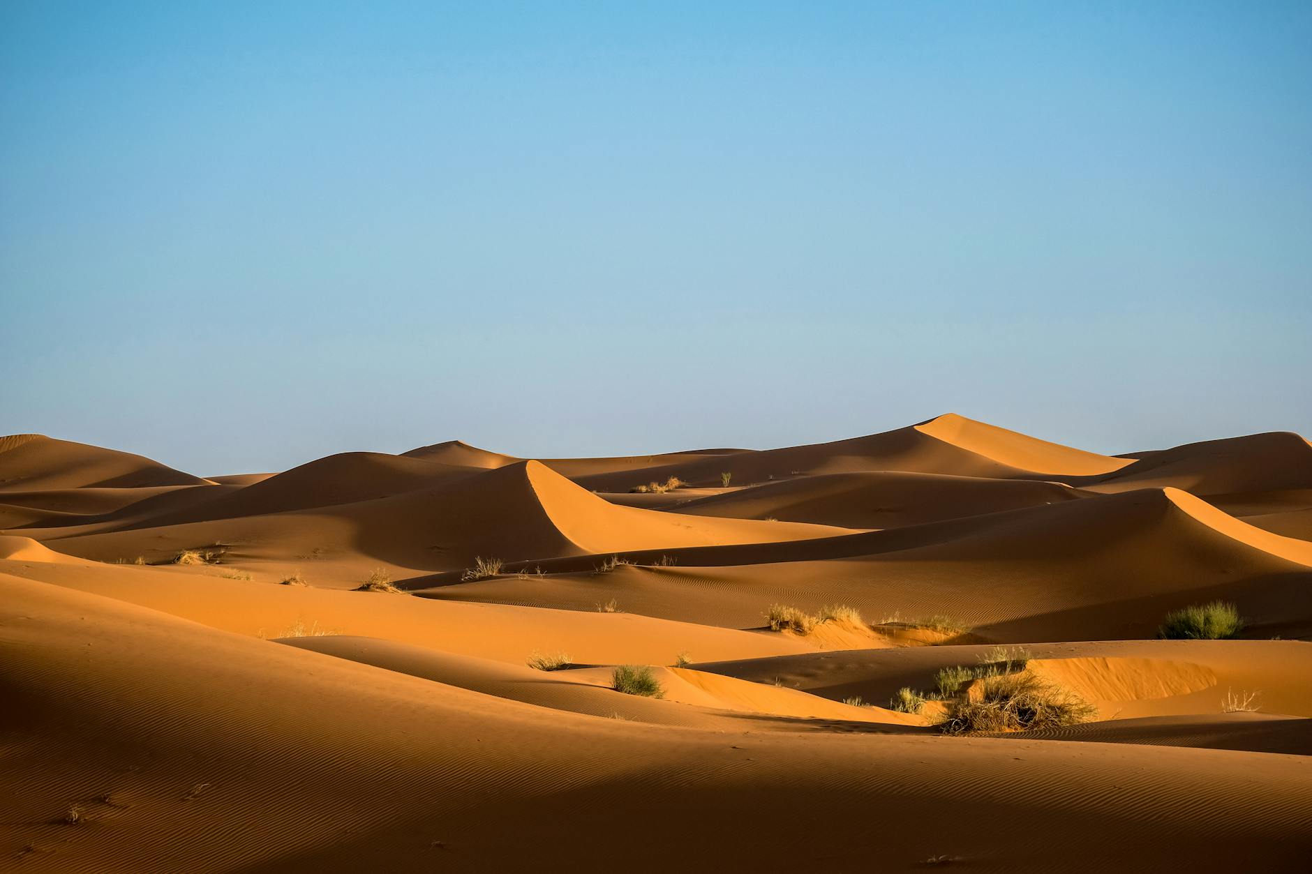 Sahara Desert: The Largest Hot Desert in North Africa