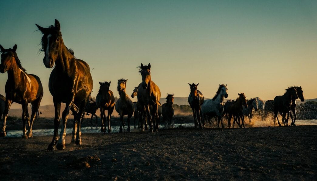 Analytic Philosophy: A Key Movement in 20th Century Western Thought