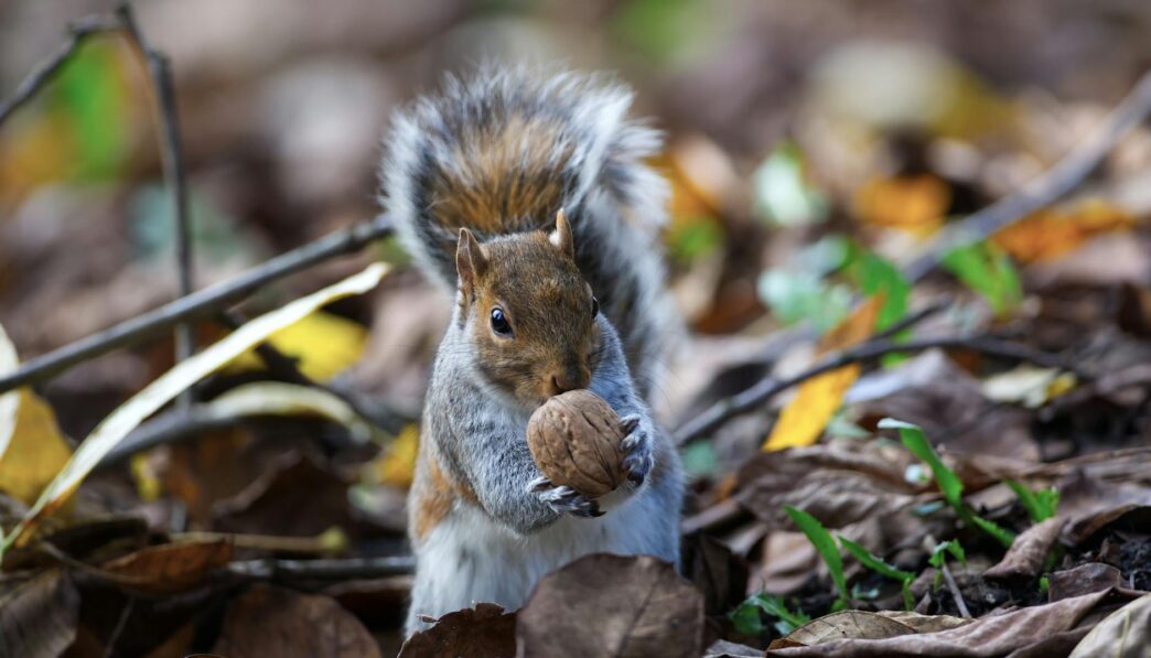 Differences Between Compulsive Eating and Binge Eating Explained