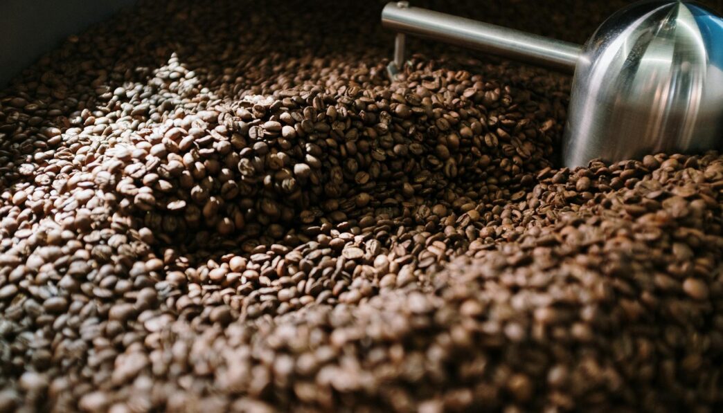 Swapping Coffee for Greens Powder: Energy Benefits and Insights