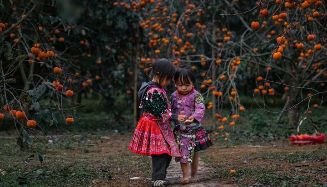 Understanding Ethnicity: Cultural and Ancestral Traits Explained