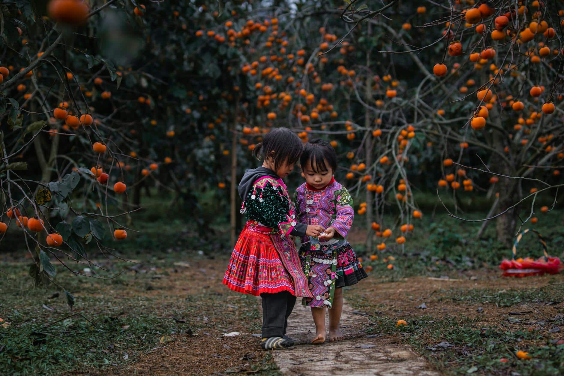 Understanding Ethnicity: Cultural and Ancestral Traits Explained