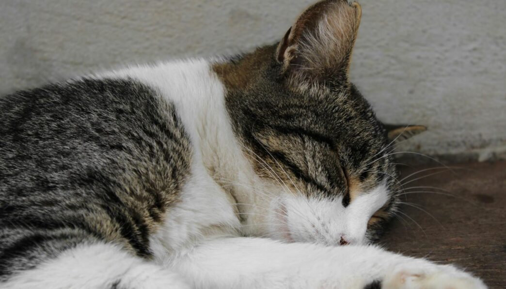 White Noise for Better Sleep: Benefits and Usage Tips