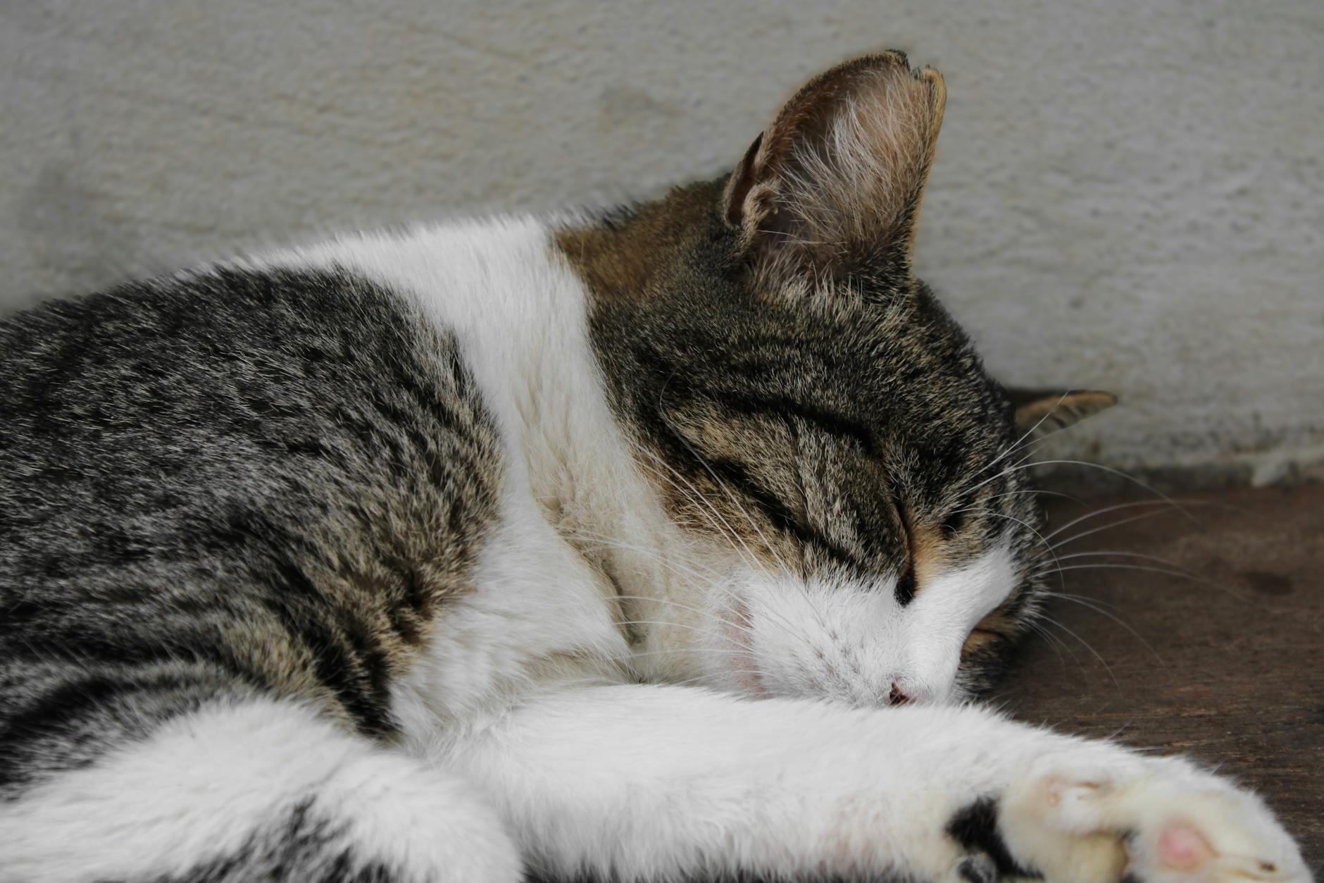 White Noise for Better Sleep: Benefits and Usage Tips
