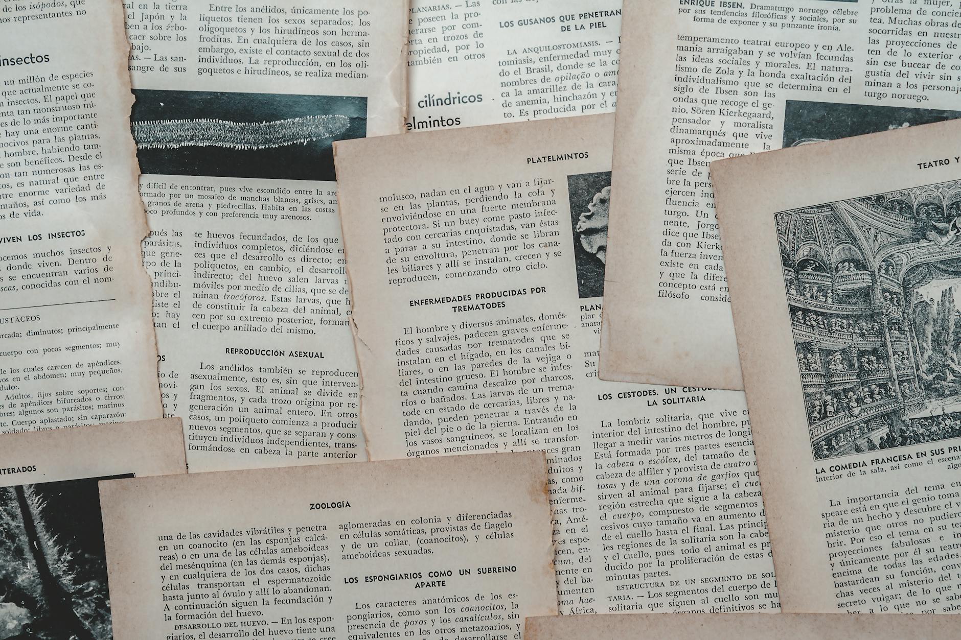 Overview of Classical Studies: Languages, Literature, and History
