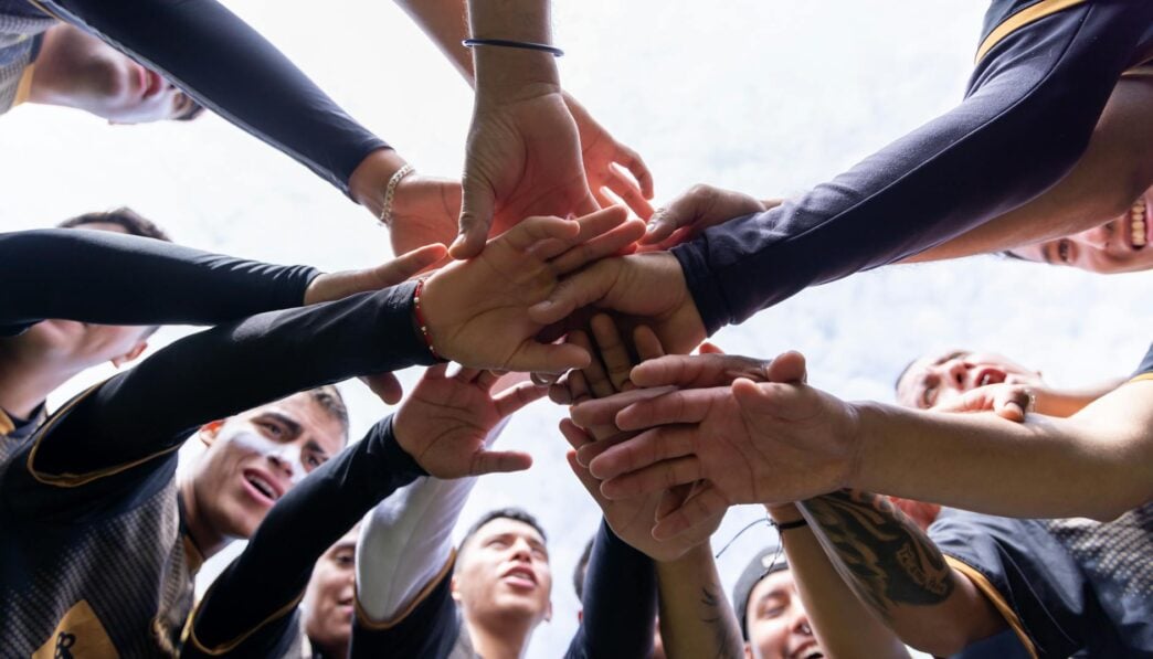 Understanding Motivation: The Key Force Behind Our Actions