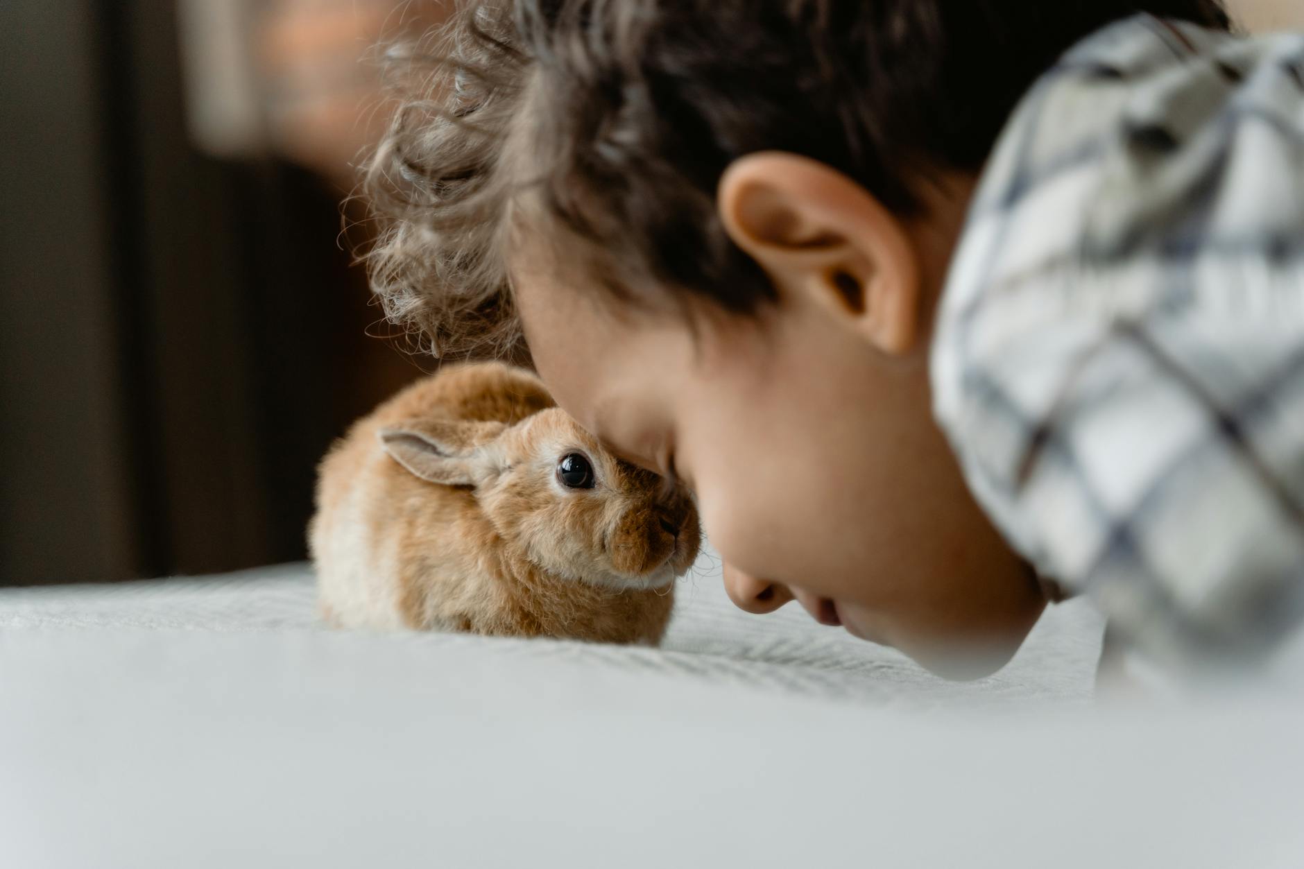 How the Brain Responds to Losing a Close Friendship